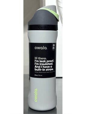 Owala FreeSip 24oz Stainless Steel Water Bottle, LIMESTONE